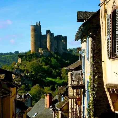 Vvf Aveyron 假日公园 3*